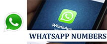 whatsapp-numbers